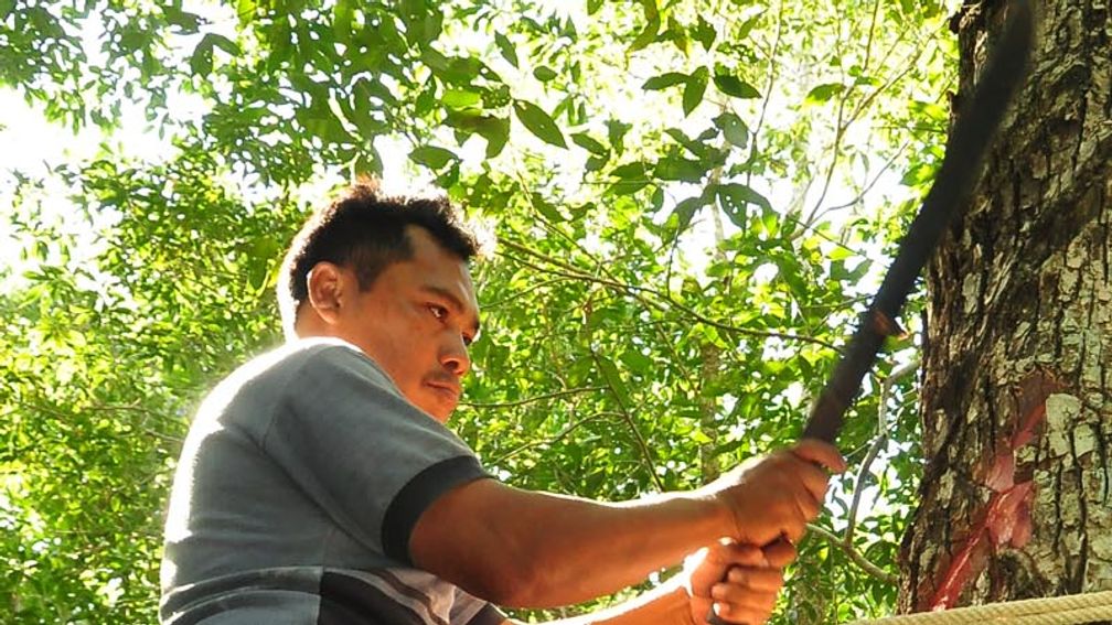 mexicovolunteerft