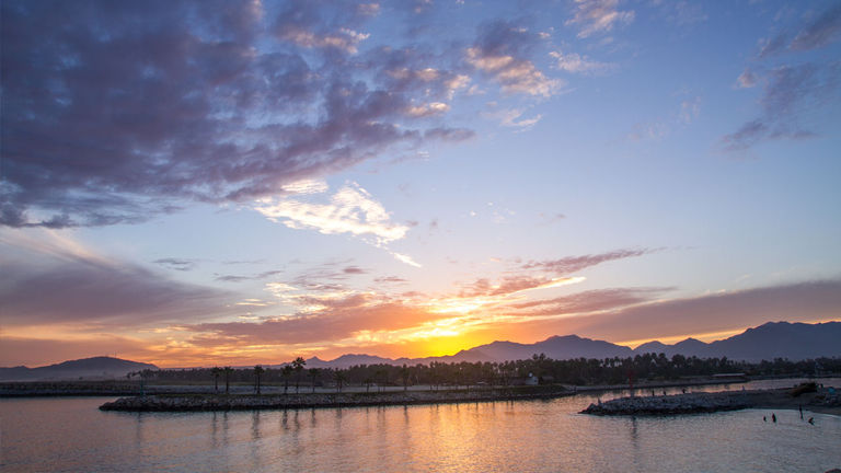 Los Cabos Tourism Board is creating new product for birdwatchers.