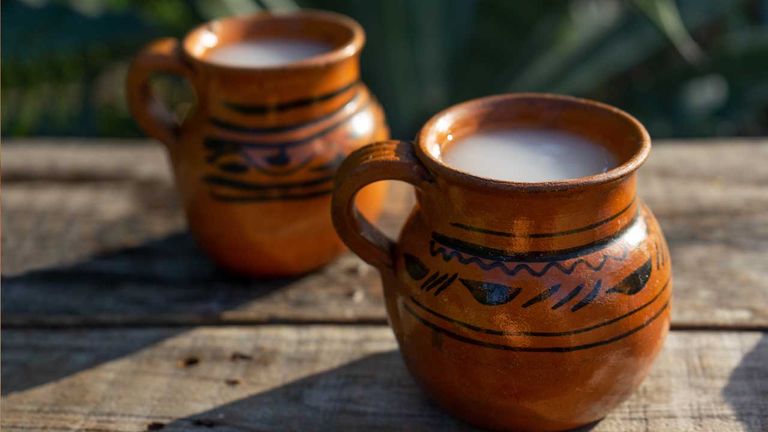 Pulque is a traditional beverage made from fermented agave sap.