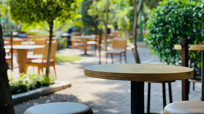 The InterContinental Presidente Mexico City’s Bosque Gourmet can seat 120 people amid soaring trees and lush landscaping.