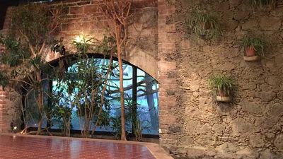Hacienda Jurica brings the outdoors in, featuring lush flora throughout the grounds. // © 2016 Hacienda Jurica