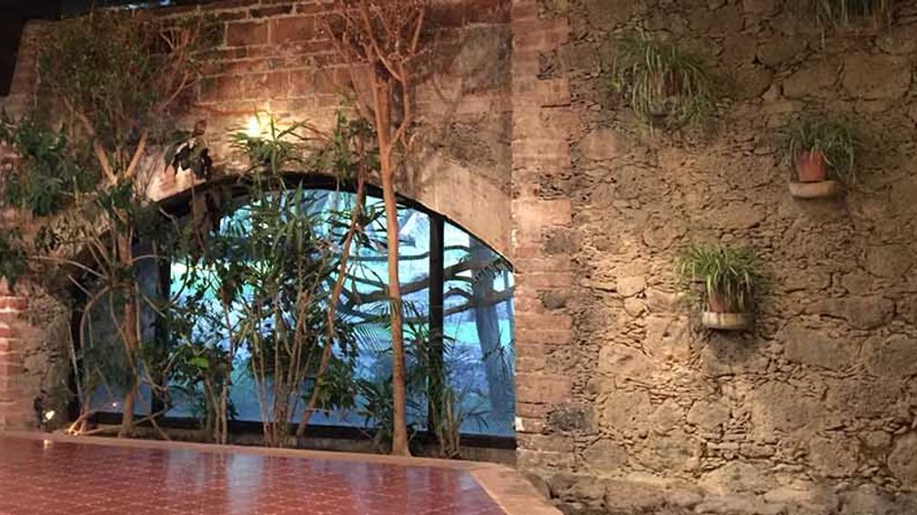 MexicoNatureHotels_FEATURE