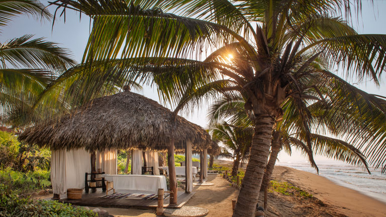 Holistic hosts offer treatments in beachfront spa palapas, or huts.