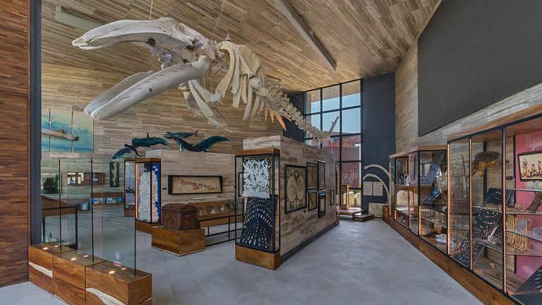 Stop by the on-site Gabinete del Barco Museum, a permanent exhibition.