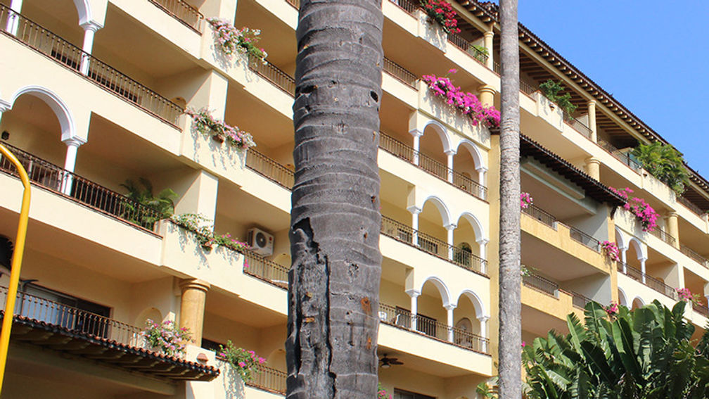 Velas Feature 2