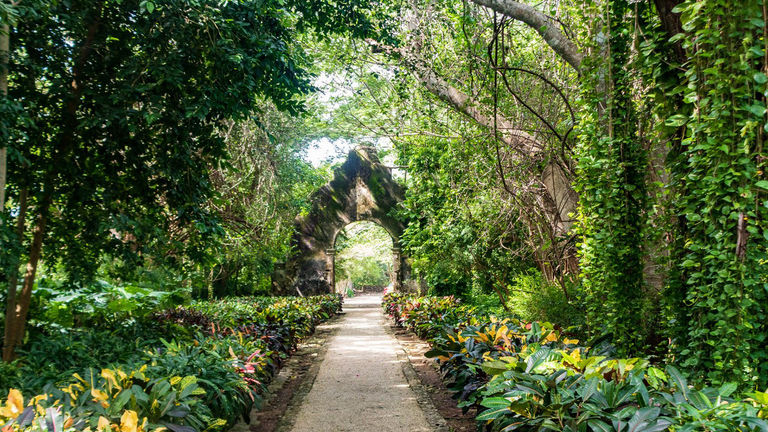 Hacienda San Jose is located in the midst of a jungle some 40 minutes outside Merida.