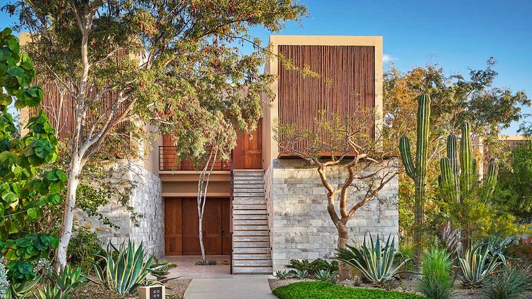 montageloscabosmodern