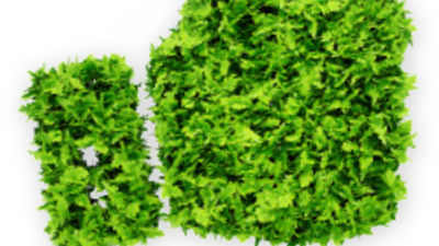 Meetings Go Green at Barcelo Maya Grand Resort