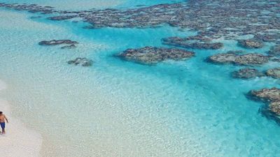 A unique luxury resort on the island of Tetiaroa, The Brando is only accessible via private plane. // © 2014 The Brando Resort