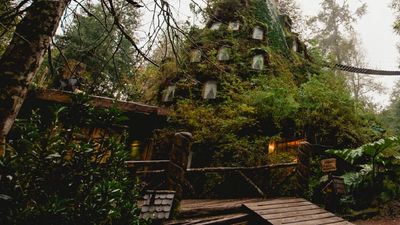 Montana Magica Lodge // © 2016 Ksenia Novikova