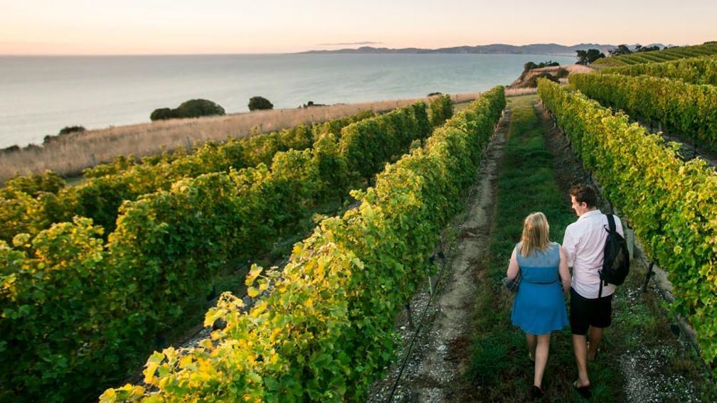 Go Beyond The Glass At Cloudy Bay's Dreamy New Zealand Winery