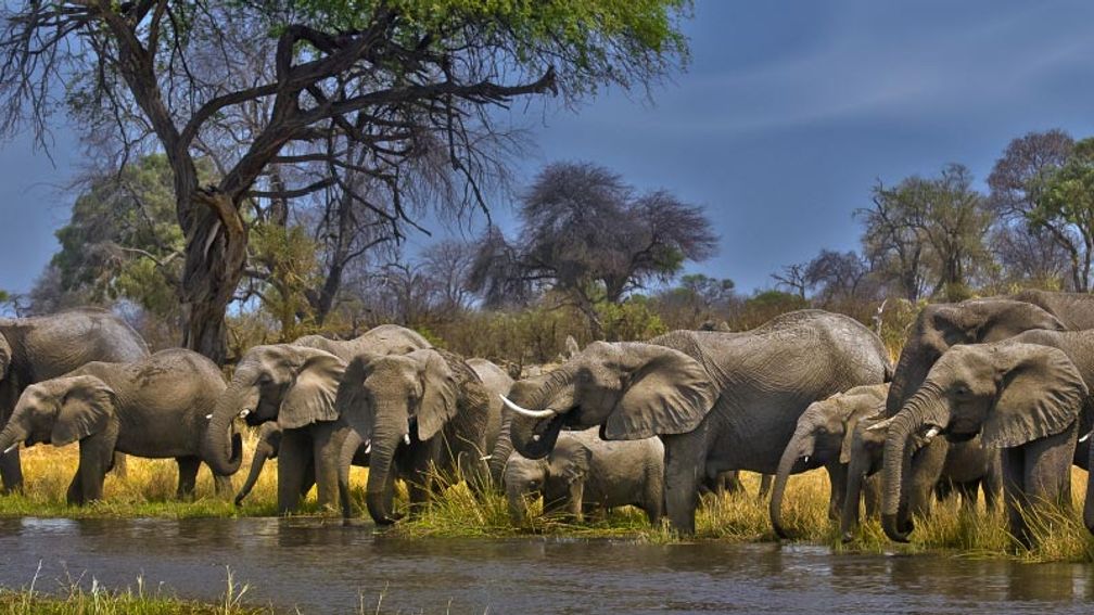The 7th Annual Reader Photo Contest's Winning Entries