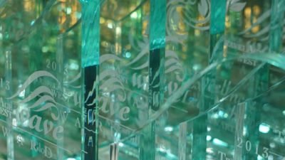 WAVE Awards // © 2013 Deborah Dimond 3