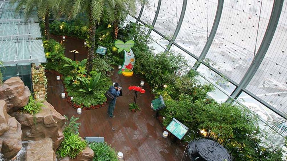Airport_Changi_FEATURE