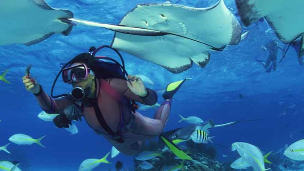 Experiential travel is a growing trend for luxury clients and includes eco-travel as well adventure activities. // © Thinkstock F