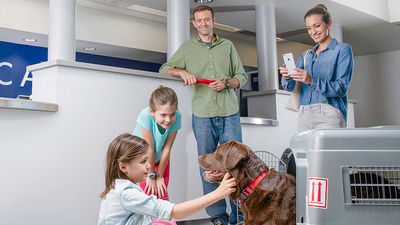 Pet policy varies among airlines.