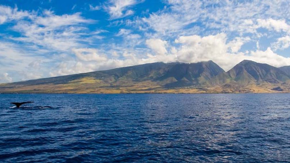 The Isle of Skye and Maui (above) are among the most beautiful and memorable islands in the world. // © 2014 Thinkstock F
