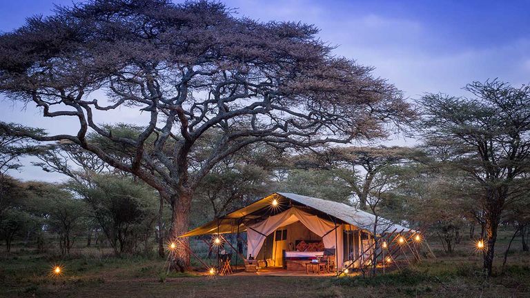 Wilderness Travel sets guests up in luxury tents during Big Five itineraries.