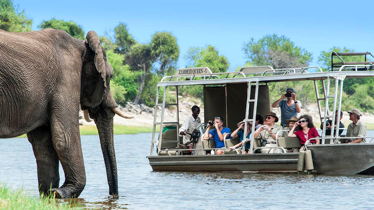 Guests onboard AmaWaterways' Discover Africa sailings will have a chance to see wildlife up close.