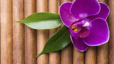 Three out of four travel agents surveyed observed an increase in spa travel bookings. // © 2014 Thinkstock F
