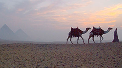 Vacation.com Ramps Marketing Program