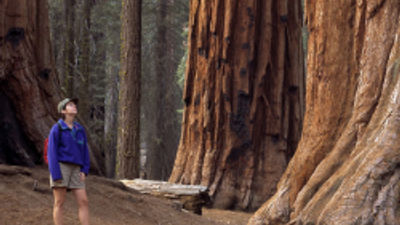 National Park Campaign Targets Millennial Travelers