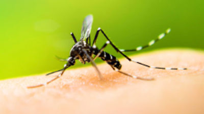 Survey Reveals Impact of Zika Virus on Travel