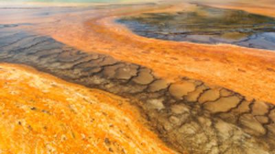 Expedia Survey Reveals Attitudes About National Parks