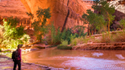National Park Travel Is at an All-Time High