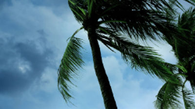 New Virtuoso Survey Shows Impact of Hurricane Season