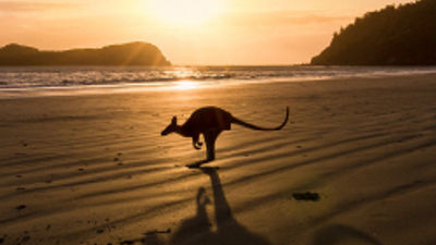 Australia Named Top International Destination by USTOA