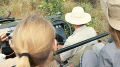 Virtuoso Releases Travel Dreams Survey