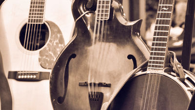 Regional bluegrass names such as Storefront Congregation and Kentucky Blue will perform on select trips. // © 2015 iStock