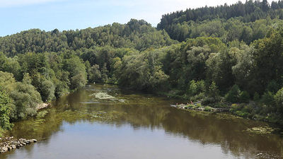 For travelers who want to trek through a German forest, a mellow hike in the nature sanctuary Halser Ilzschleifen near Passau is a must. // © 2016 Mindy Poder