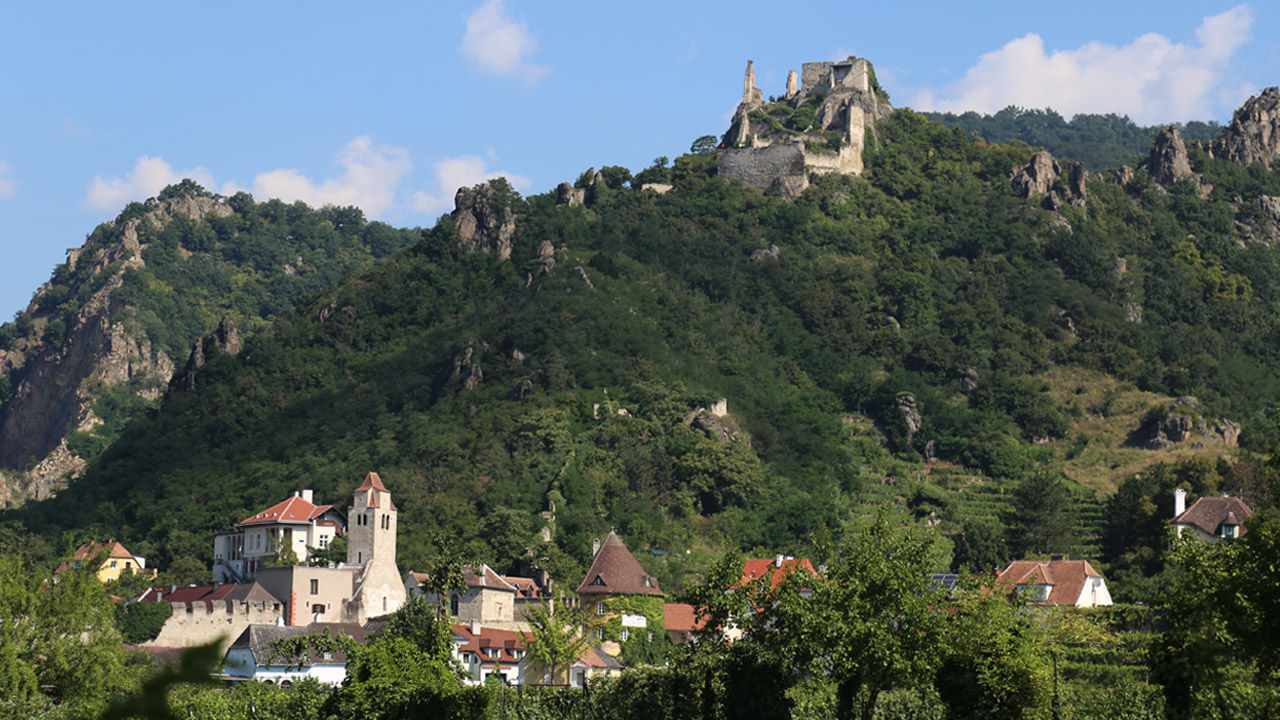 Advisors can show their value by comparing the loyalty programs offered by river cruise lines.