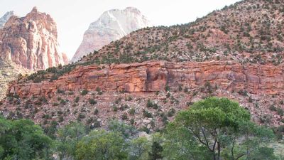 Clients can cycle in Zion National Park on TerraVelo’s Arches, Canyons and Hoodoos trip in southern Utah. // © 2015 TerraVelo Tours 2