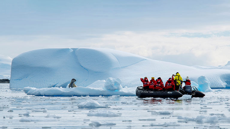 Guests on Patagonia and Antarctica expedition cruises will embark on daily excursions to see native wildlife.