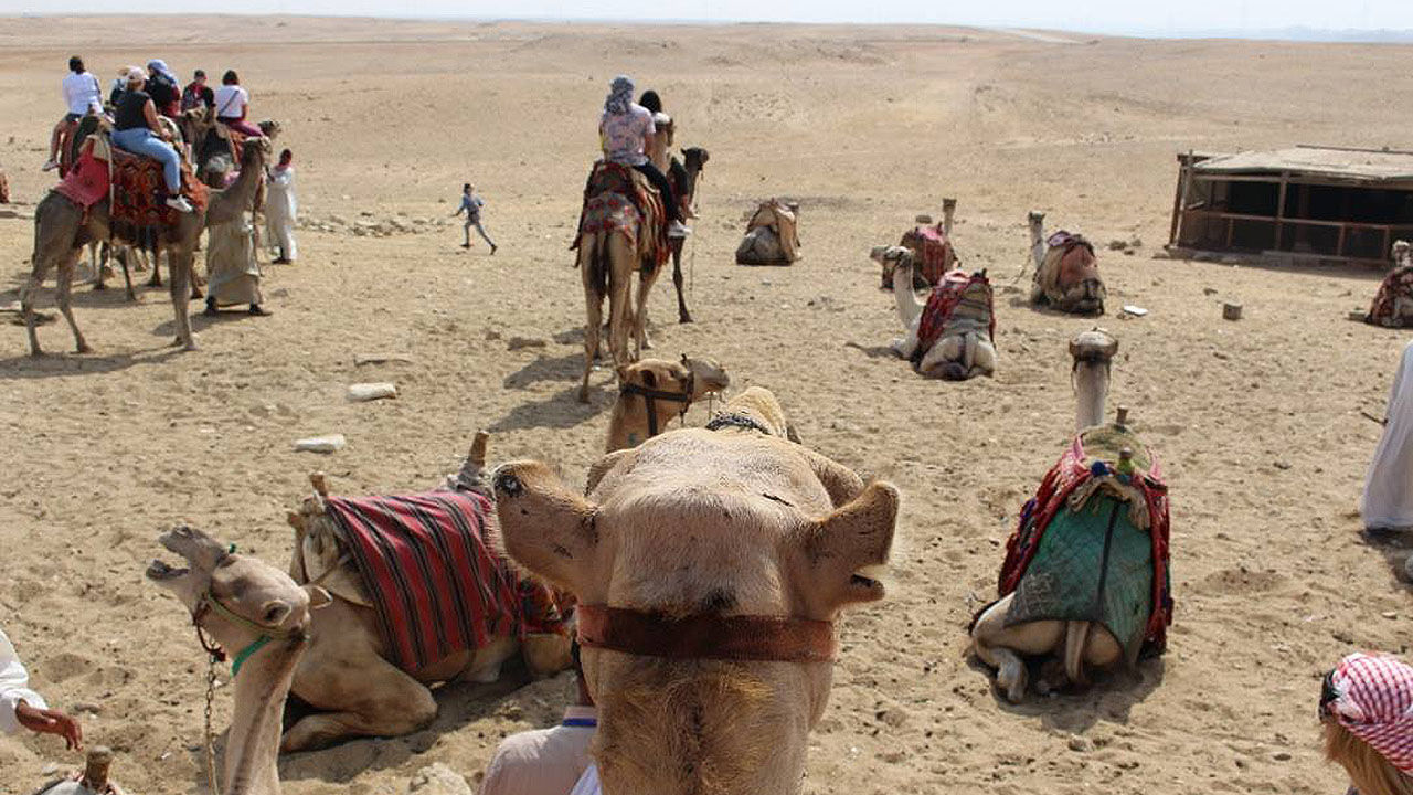A Contiki Trip to Egypt Packs in Country Highlights