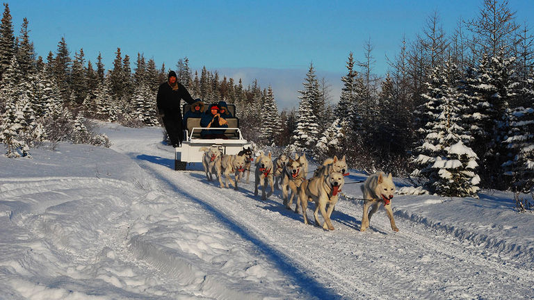 Guests have a chance to go dog sledding during Natural Habitat Adventures’ seven-day Northern Lights and Arctic Cultures trip.