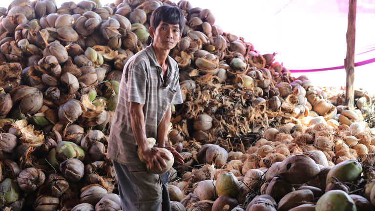 A day trip from Ho Chi Minh City, Ben Tre is one of Vietnam’s top producers of coconuts.