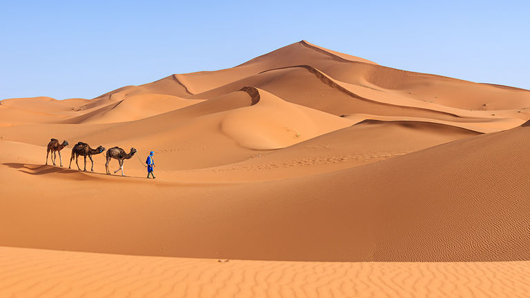 Heritage Tours, which caters to clients of Jewish heritage, can arrange ancestry trips to destinations such as Morocco.