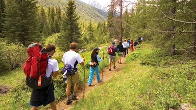 Participants must sign a Digital Detox pledge before joining the trip.