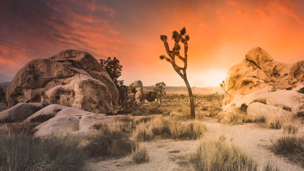 Globus and Cosmos Announce Undiscovered North America Tours