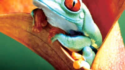 Journese Enhances the Costa Rica Experience