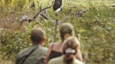 Distinctive Safaris from African Travel, Inc.