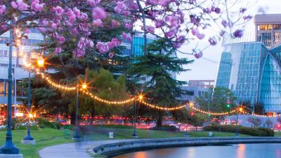 Lake Merritt // © 2015 Visit Oakland 2