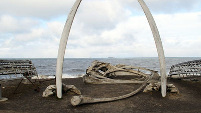 Don’t miss a photo op of Barrow Whale Bone Arch. // © 2017 Getty Images