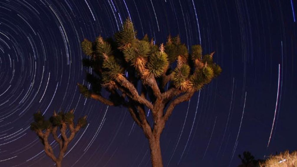 Stargazing in Joshua Tree National Park is just one option in California this summer. // © 2013 Thinkstock 3