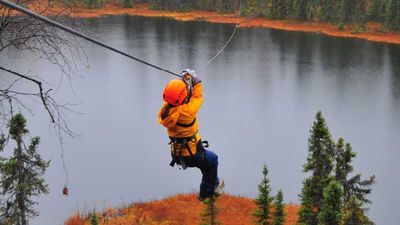 Zipliners can soar above the Alaskan wilderness on an excursion with Denali Zipline Tours. // © 2014 Christopher Batin 3