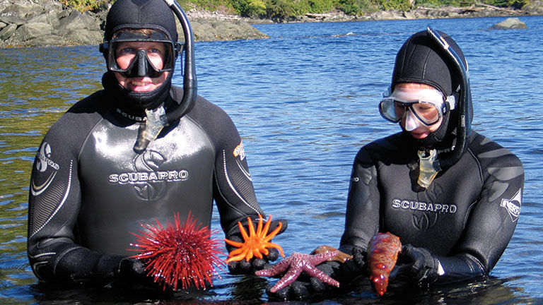 Colorful marine life is abundant in Ketchikan.
